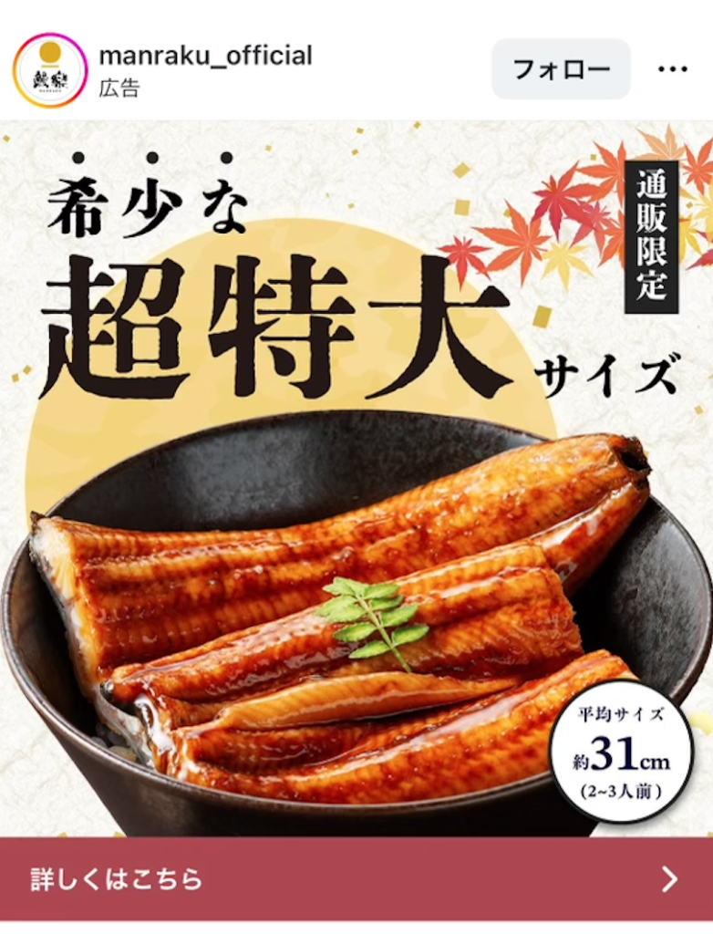 超特大うなぎを訴求する通販のフィード広告